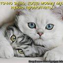 ���� �����, �����������, 58 ��� - ��������� 19 �������� 2013 � ������ ���� ����������