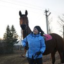 ���� �����, ��������, 43 ���� - ��������� 6 ����� 2014 � ������ ���� ����������