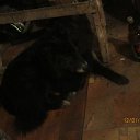  , , 44  -  13  2014    1