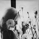 ���� �������, ��������������, 51 ��� - ��������� 10 ����� 2014 � ������ ������ ��������