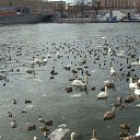 ���� ������, ������, 65 ��� - ��������� 31 ������� 2013 � ������ ���� ����������