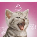 ���� ������, ������, 36 ��� - ��������� 13 ������� 2013