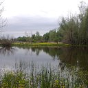 ���� ������, ������, 55 ��� - ��������� 12 �������� 2013 � ������ �������