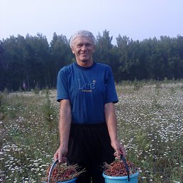 ��������, �����, 74 ����