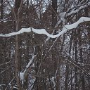 ���� ������� �������, ���������, 60 ��� - ��������� 28 ������ 2013 � ������ ���� ����������