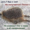 ���� ����������, ����������, 53 ���� - ��������� 12 ������ 2014 � ������ �������