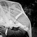 ���� ����, ������, 33 ���� - ��������� 10 ������ 2014 � ������ ���� ����������