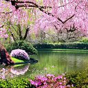  -=@=-  , , 53  -  12  2014    