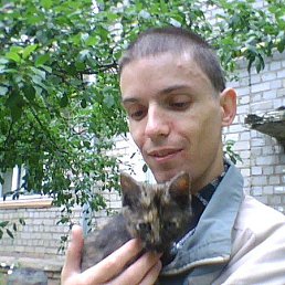 ������, ������, 48 ���