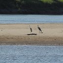 ��� �� �������. �� ������� ���� ����������