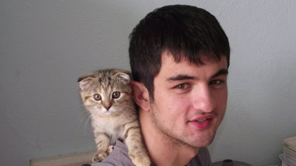 : :  .     )) - skorpion, 38 , 