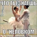 ���� �������, ������������ - ��������� 23 ������ 2014 � ������ ���� ����������