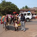 ���� �������, ���������� - ��������� 10 ������� 2013 � ������ ���� ����������