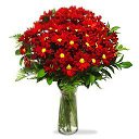 ���� Saf��, ��������, 33 ���� - ��������� 6 ����� 2014 � ������ ������ ��������
