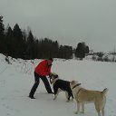 ���� �������, �������, 54 ���� - ��������� 25 ������ 2014