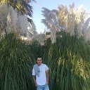 Sochi-RUSYA ����-������ �� ������� �SOCHI�