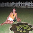 ���� �������, ����������� - ��������� 13 ������ 2013 � ������ ���� ����������