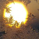 ���� ������, ������, 54 ���� - ��������� 26 �������� 2013