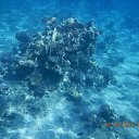 ���� ���������, ����������, 42 ���� - ��������� 28 ������� 2013 � ������ ������ 2013�