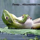  ,  -  8  2013   -...
