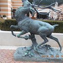 ���� �������, ������ - ��������� 19 ������� 2014 � ������ ��������˻