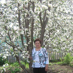 ����, ���, 72 ����