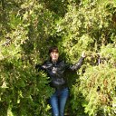 ��������� �� ������� ����� ��� ������������