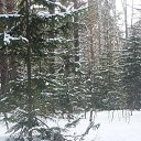  ,  -  6  2014    2014