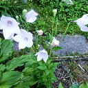 ���� ������� �., ����� - ��������� 5 ������� 2013 � ������ �������