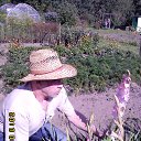 ���� ������, ������, 72 ���� - ��������� 11 ������� 2013