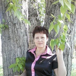 , 66, 