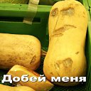 ���� �����, ���������, 46 ��� - ��������� 10 ������� 2014 � ������ ������