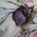  2 (), , 39  -  28  2013    