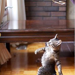 ���� �����, ������ - ��������� 19 ������ 2013