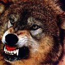 ���� ��, ������, 63 ���� - ��������� 6 ������� 2013 � ������ ���� ����������