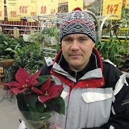 ���� �������, ������, 47 ��� - ��������� 8 ������� 2013