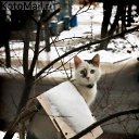 -  ?...., ?   ,  ...!