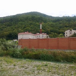 ����, ����