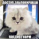  Lyubov, , 67  -  15  2014    