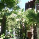 ���� �����, ���������, 64 ���� - ��������� 16 ������� 2013 � ������ ������� 2013 ���.�