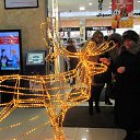���� �����, ������� - ��������� 7 ������ 2014 � ������ ���� ����������