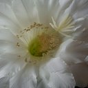 ���� �������, ����������� - ��������� 6 ������ 2013 � ������ ���� ������ ���