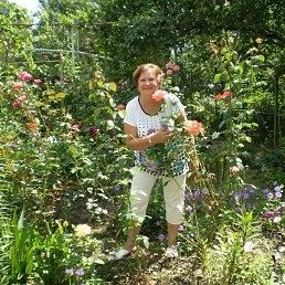 ���� ����, ������ - ��������� 1 �������� 2013