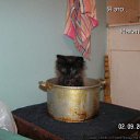 ���� ����, ������ - ��������� 5 ������� 2013 � ������ ���� ����������