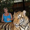  ������� .