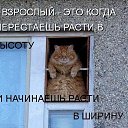 ���� ����, ������ - ��������� 5 ������� 2013 � ������ ���� ����������