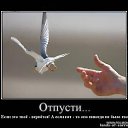 ���� ������, ���������� �����, 45 ��� - ��������� 14 ������ 2014 � ������ ������