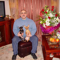  Benjamin, , 62  -  20  2013