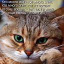 ���� �����, ��������� - ��������� 16 ������ 2013 � ������ ��������