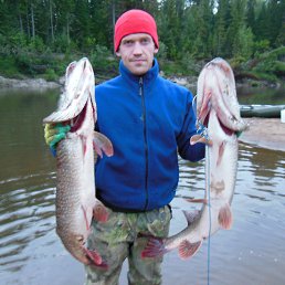 ���� ����, �����, 41 ��� - ��������� 6 �������� 2013